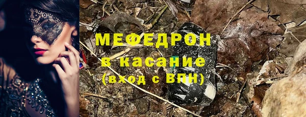 СК Ельня