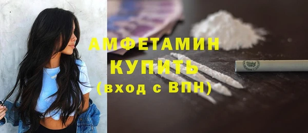 СК Ельня