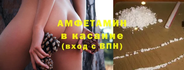 СК Ельня