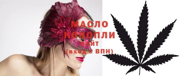 СК Ельня