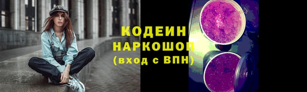 СК Ельня