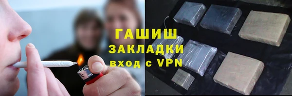 СК Ельня