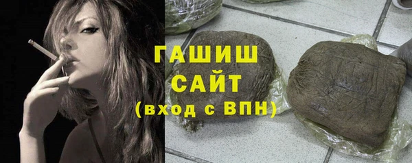 СК Ельня