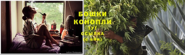 СК Ельня