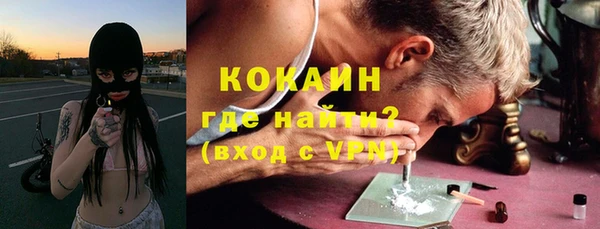 СК Ельня