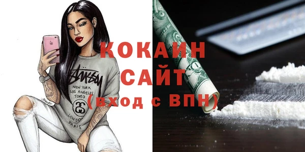 СК Ельня