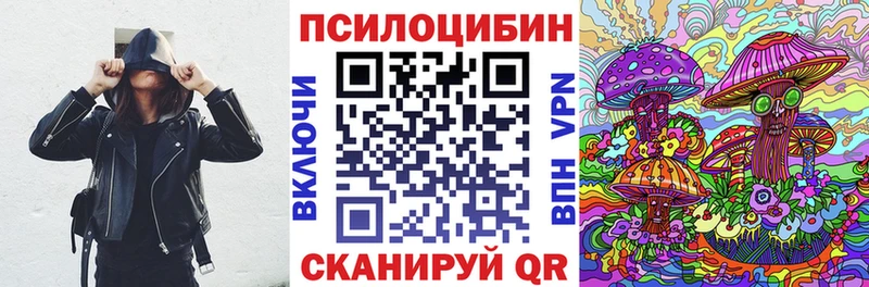 Псилоцибиновые грибы Cubensis  Купить где  Невельск 
